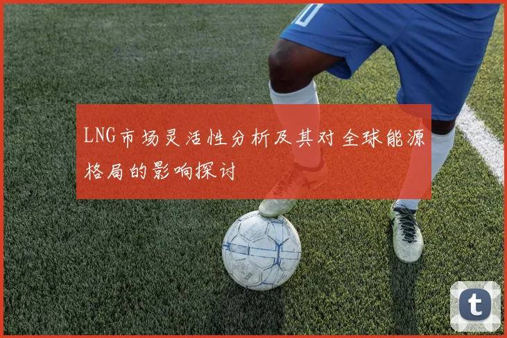 LNG市场灵活性分析及其对全球能源格局的影响探讨
